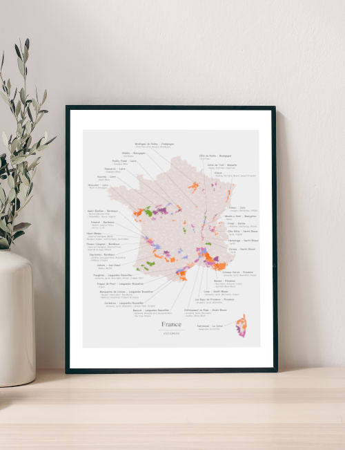 Plastified Poster - The Wines of France - 98 x 119 cm  IGN (French) –  MapsCompany - Travel and hiking maps