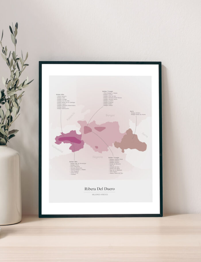 Picture Wine Map Ribera Del Duero