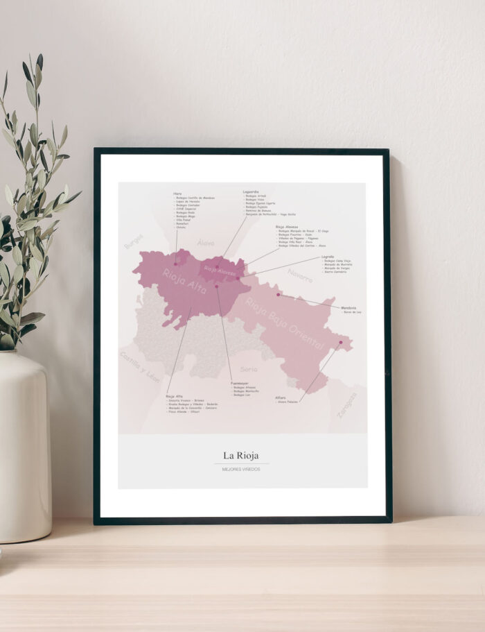 Picture Wine Map Rioja