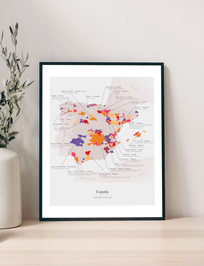 Picture Wine Map Spain